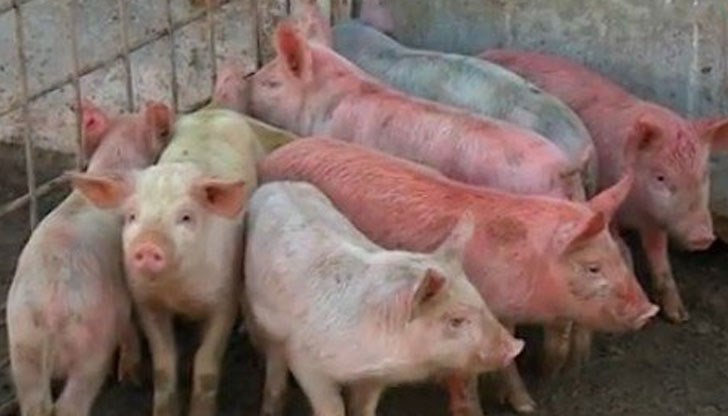 Собственикът твърди, че купувачи са го подлудили Собственикът твърди, че купувачи са го подлудили