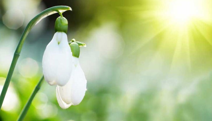 Още от днес, 21 март, се очаква у нас да започне продължителен период от десетина дни, през който средните температури ще бъдат значително по-високи от нормалните Още от днес, 21 март, се очаква у нас да започне продължителен период от десетина дни, през който средните температури ще бъдат значително по-високи от нормалните