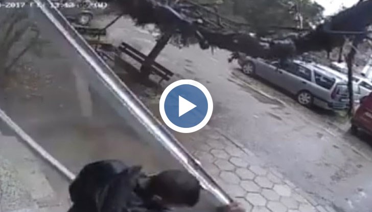 Охранителната камера на входа записала наглата кражба посред бял ден