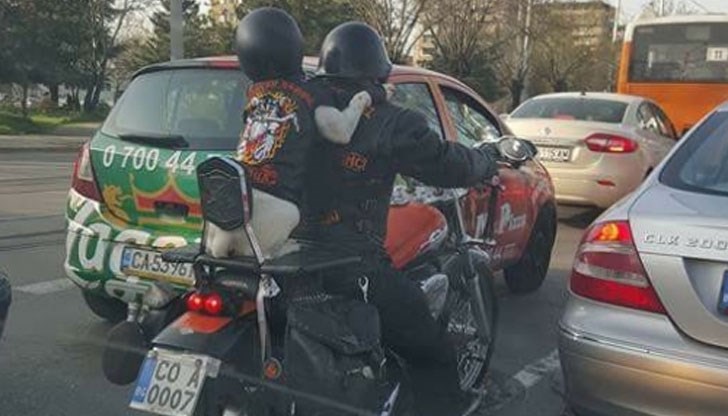 Кучето е облечено с кожено елече, а на главата си има каска