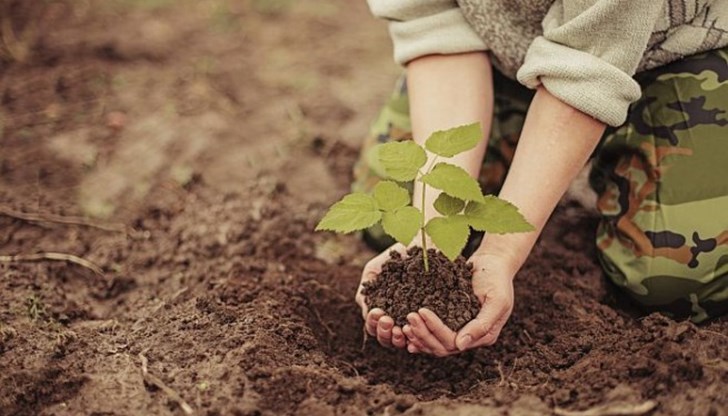 През 1925 година в България за първи път се провежда специален и масов Ден на залесяването