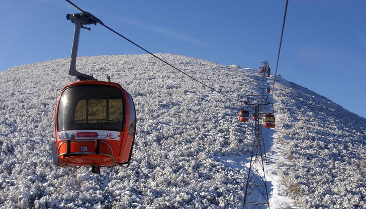 Всичко се развива в рамките на половин минута Всичко се развива в рамките на половин минута