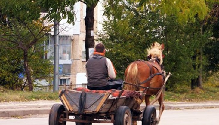 При произшествието е пострадал водачът на каруцата / Снимката е илюстративна/ При произшествието е пострадал водачът на каруцата / Снимката е илюстративна/