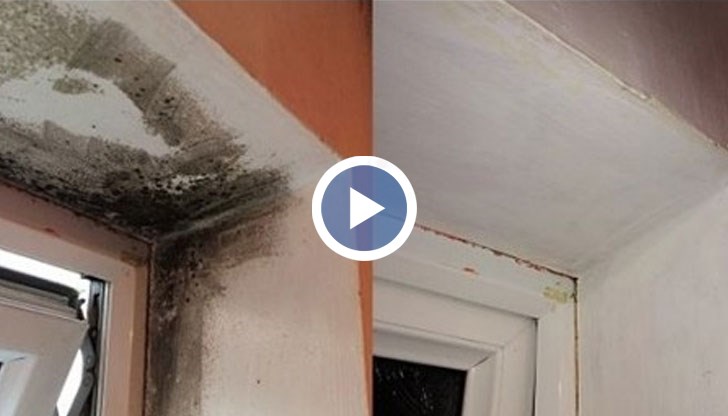 Използвате това естествено решение, без вредни химикали, които да ви тровят повече