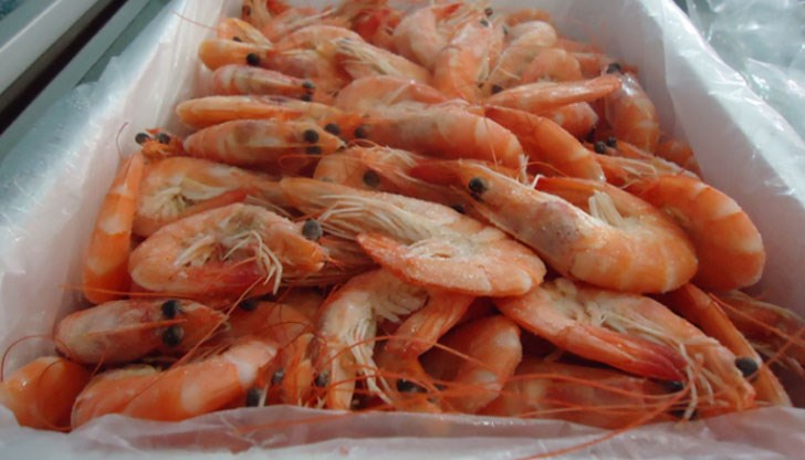 Учените се надяват, че тя ще бъде използвана за производство на екологични торбички за пазаруване и опаковки