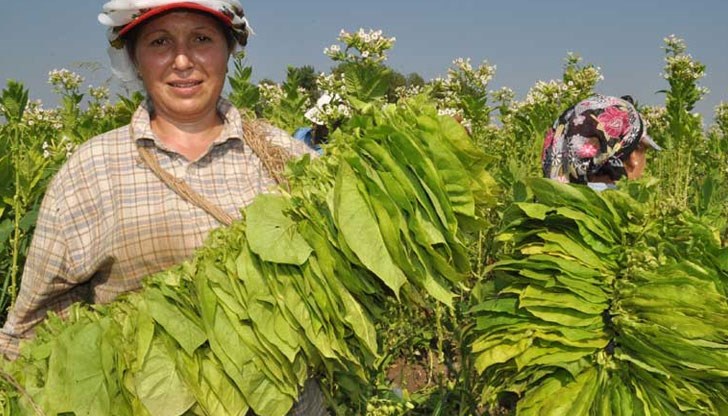 Очаква се днес по обед да бъде затворен пътя за Гърция и Гоце Делчев Очаква се днес по обед да бъде затворен пътя за Гърция и Гоце Делчев