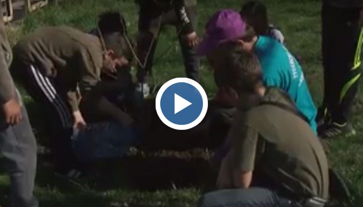 Ето какво мислят русенските ученици за посаждането на дърво