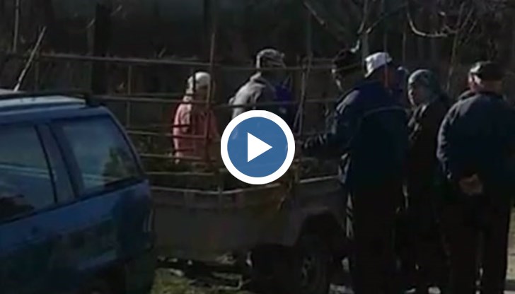 Щабът на една от партиите организира предизборно раздаване на овощни дръвчета