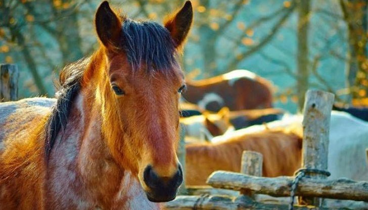 Празникът е в памет на свети великомъченик Теодор Тирон Празникът е в памет на свети великомъченик Теодор Тирон