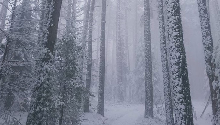 Броени дни преди Първа пролет, близо 20 сантиметра сняг натрупа край Студенец
