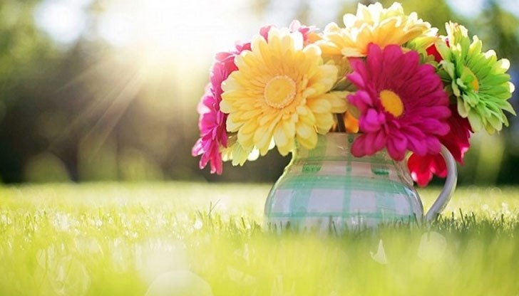 1 158 души носят името Тодор 1 158 души носят името Тодор