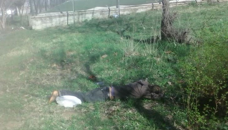 Човекът лежал в тревата точно под терасите на блок 3