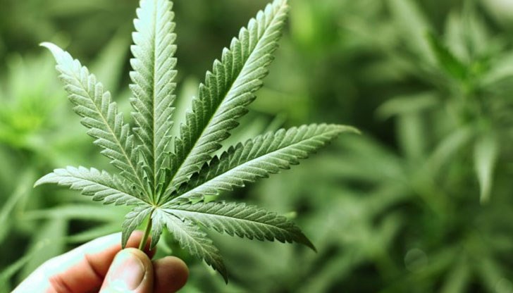 Новината е сензационна, шокираща, създадена да удивлява и забавлява света