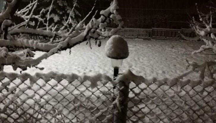 Март месец ни изненада...наистина! Март месец ни изненада...наистина!