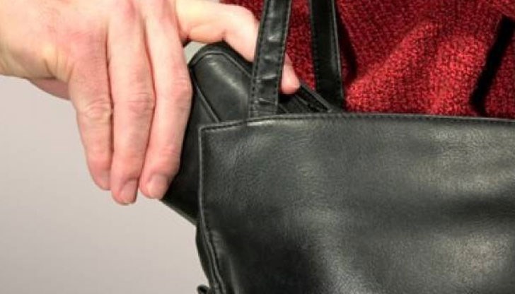 Извършителката е непълнолетна русенка Извършителката е непълнолетна русенка