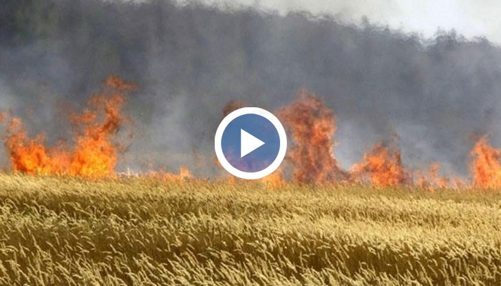 В повечето случаи обаче стопаните не са виновни