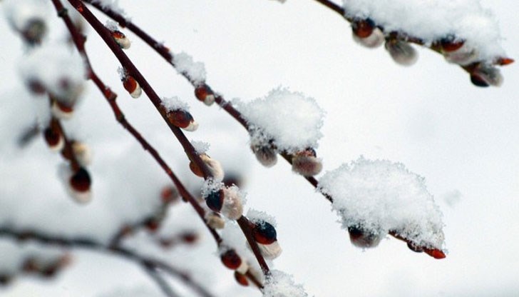 В Северна България и високите полета се очакват валежи от сняг