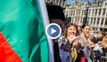 Стотици хора се хванаха на Българско хоро в центъра на Брюксел