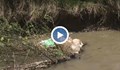 Реките в Русенско са пълни с боклуци, но те са невидими за екоинспекцията