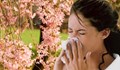 Лекари алармират: Всеки трети със сенна хрема е заплашен от астма!