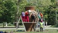 28 хиляди цветя ще грейнат на вазата в Парка