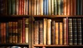 Библиотекарка краде заплати от читалище
