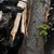 Шофьор се заби в дърво по пътя Пиргово – Русе
