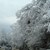 Априлски сняг в Смолянско