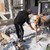 Русенски майстор намери бомба в ромски квартал