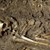Откриха човешки скелети в центъра на София