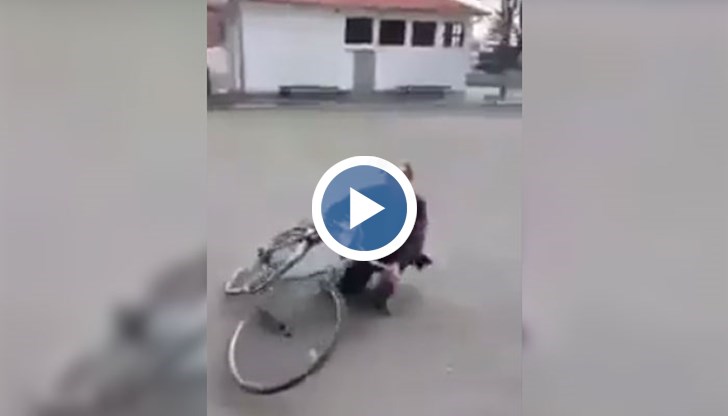 "Леко пийнал" нашенец трудно съумява да се погрижи за колелото и ...за себе си