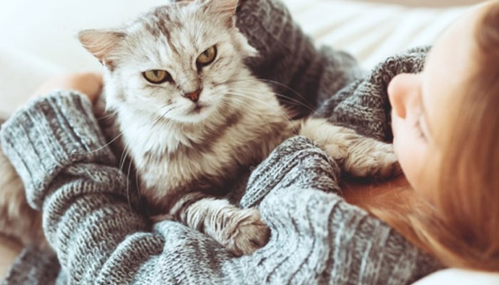 Как знаем, че някой е умен? Как се измерва?