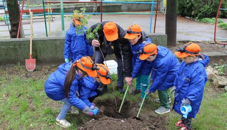 Децата от детска градина „Детелина“ засадиха дърво и изработиха дарове със зелени послания