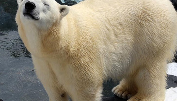 Смъртта на Женя шокирала всички Смъртта на Женя шокирала всички
