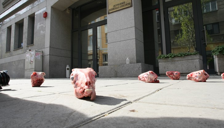 Протестиращи хвърляха агнешки главички пред сградата на ВСС