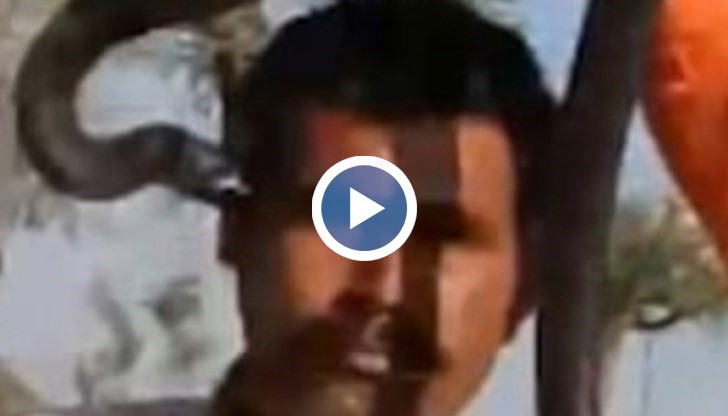 На кадрите се вижда как мъжът се снима със змията