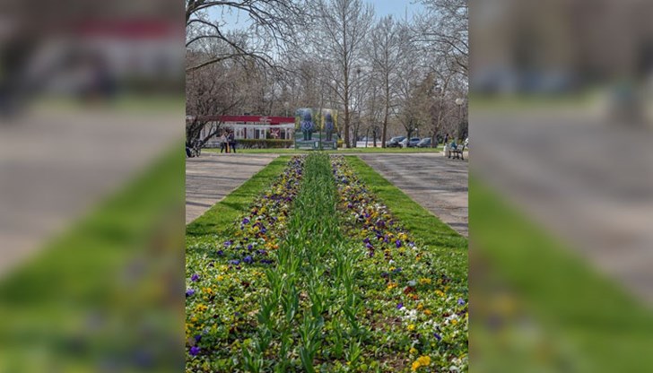 Кога ще открият заградената ваза?