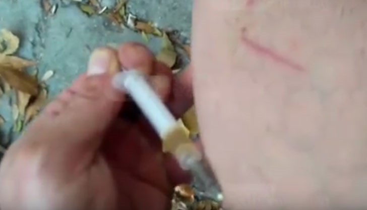 В Пловдивският затвор е плъзнал наркотика "Бонзай", който не се засича от тестовете В Пловдивският затвор е плъзнал наркотика "Бонзай", който не се засича от тестовете