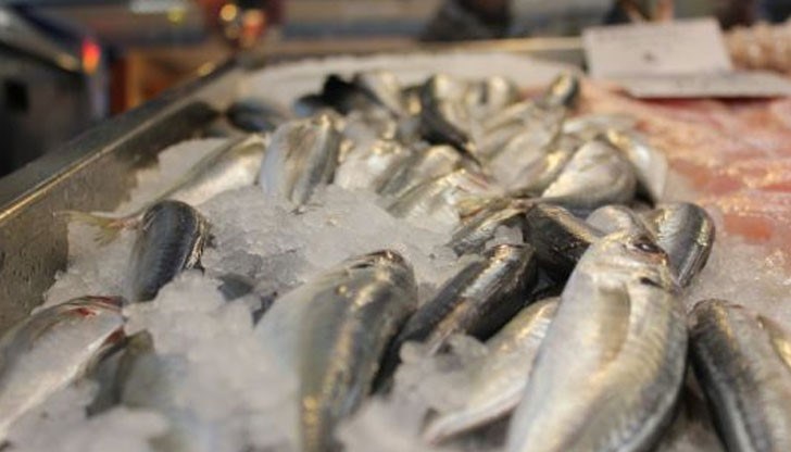 Риба с изтекъл срок на годност продължава да се продава, защото е от "скъпата"!