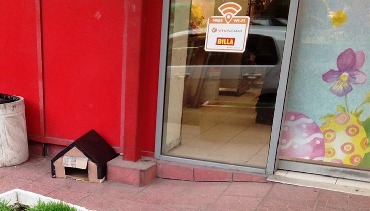 Благодаря на Човека, който направи дом за котето, което живее на изхода на BILLA в Русе