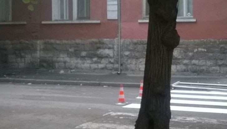 Загиналият е 64-годишен мъж Загиналият е 64-годишен мъж