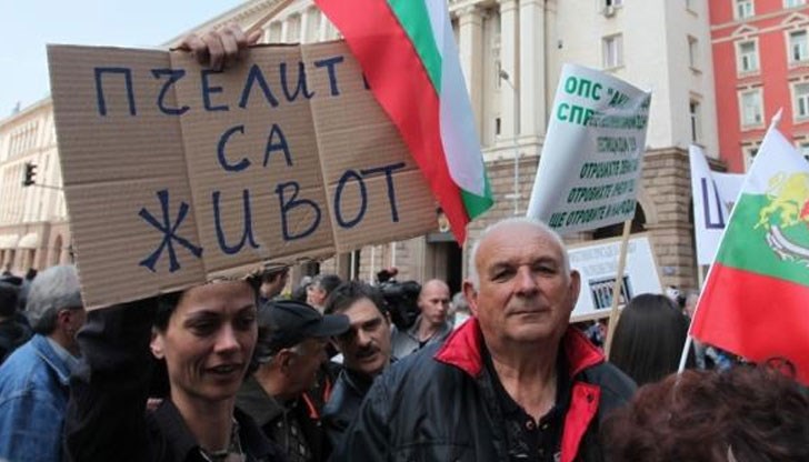 Те искат да се противопоставят срещу използването пестициди, които са особено вредни за пчелите Те искат да се противопоставят срещу използването пестициди, които са особено вредни за пчелите