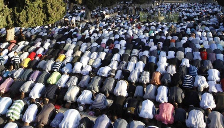 До две десетилетия броят на бебетата, родени в мюсюлмански семейства, ще стане по-голям от този на децата на християни До две десетилетия броят на бебетата, родени в мюсюлмански семейства, ще стане по-голям от този на децата на християни