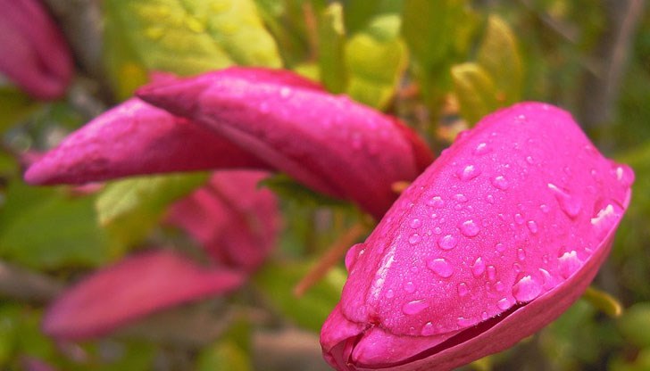 С пожелания за късмет и усмивки през целия ден! С пожелания за късмет и усмивки през целия ден!