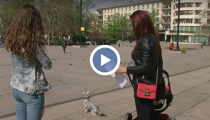 Кметът лично ми каза, че няма нищо против кучетата да преминават през забранените зони