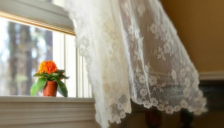 Единственото нещо, което ще ви бъде необходимо: три пресни портокала, вода и свежи цветя Единственото нещо, което ще ви бъде необходимо: три пресни портокала, вода и свежи цветя