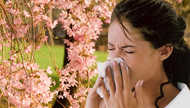 Д-р Силвия Новакова разкри защо все повече страдаме от алергии и как да се справим с тях