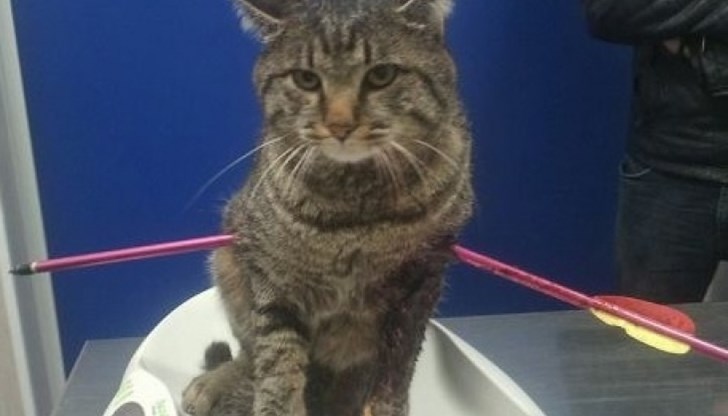 Доста брутален случай, един от най-жестоките, с които сме се сблъсквали Доста брутален случай, един от най-жестоките, с които сме се сблъсквали