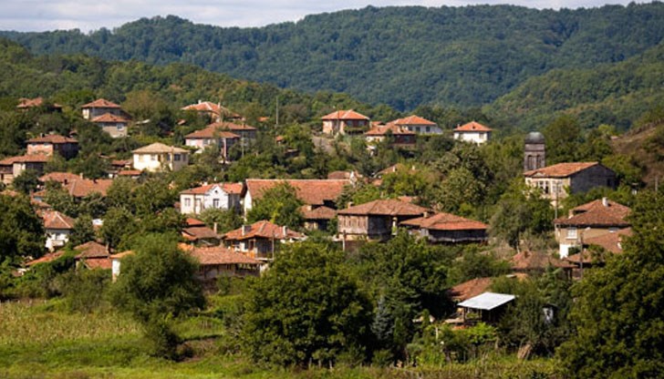 1 600 лева струва думата „ку*ва” 1 600 лева струва думата „ку*ва”