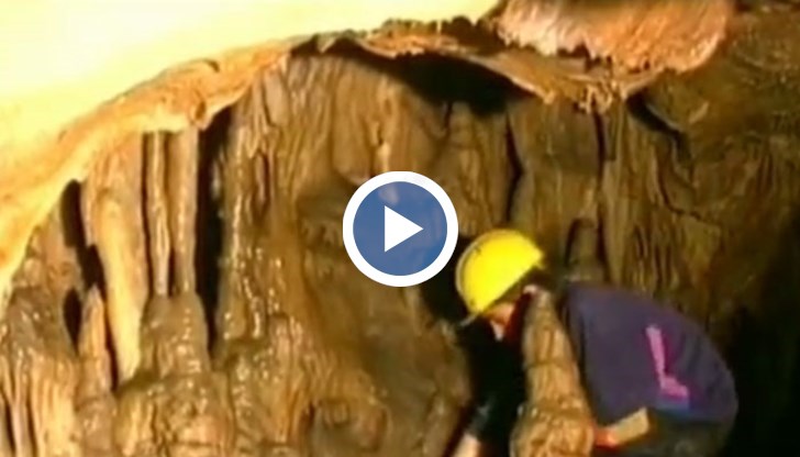 Те са приготвили разнообразие от дейности, посещения на исторически забележителности и прожекции на филми